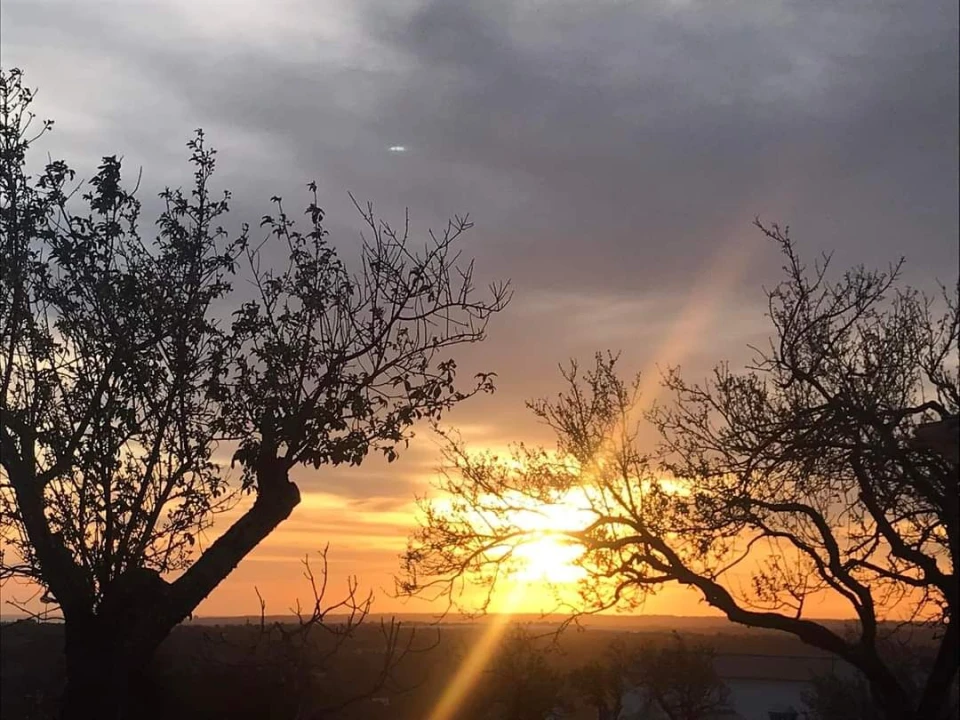 Terreno para Venda em Loule (São Clemente) Foto 5