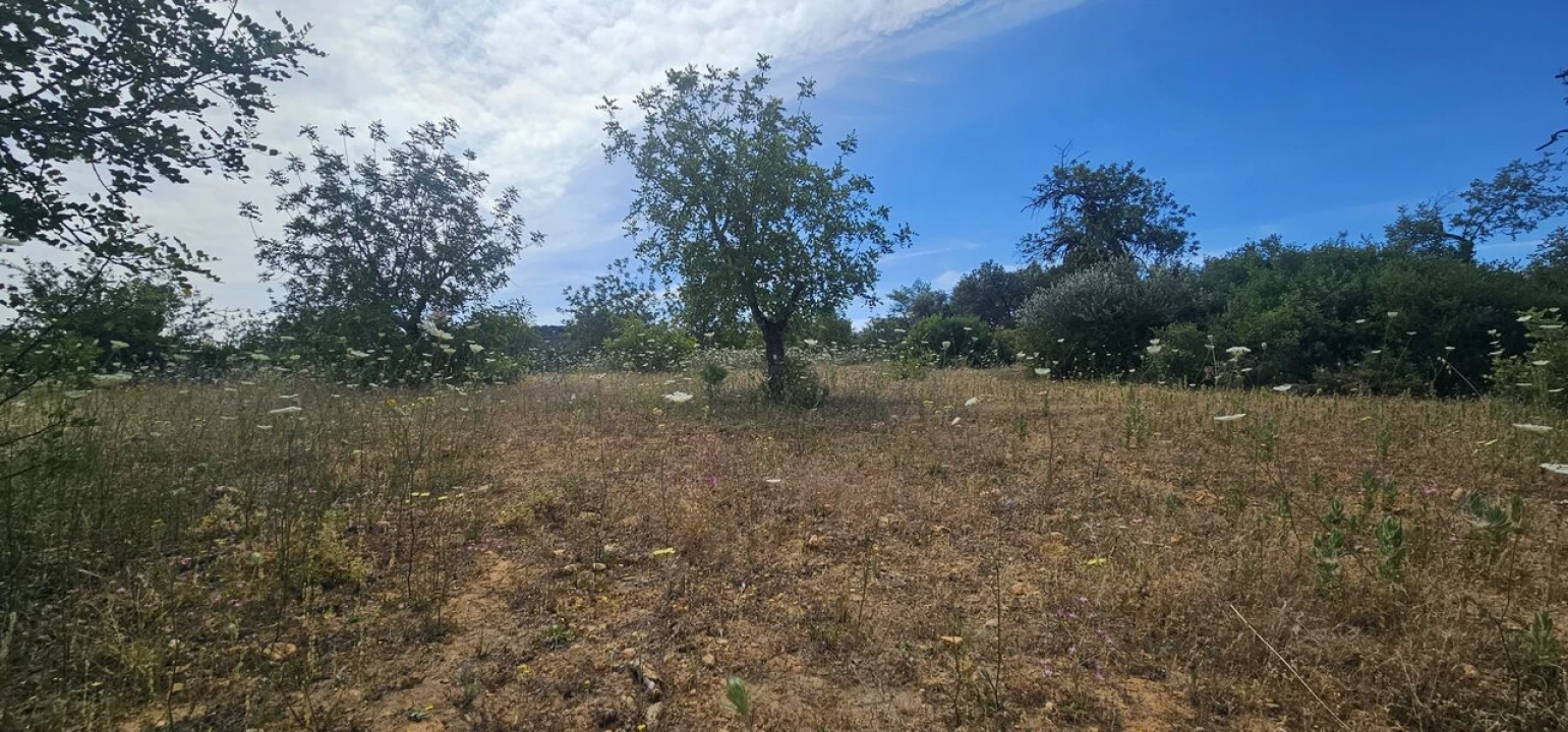 Terreno para Venda em Loule (São Clemente) Foto 1