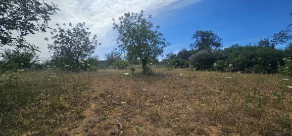 Terreno para Venda em Loule (São Clemente)