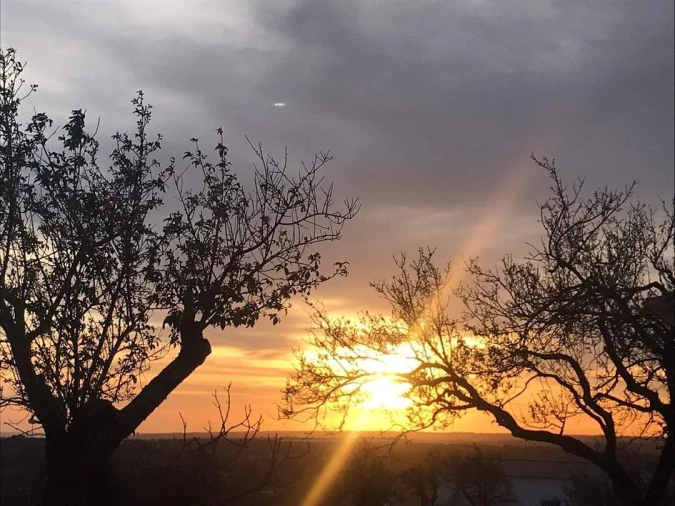 Terreno para Venda em Loule (São Clemente) Foto 5