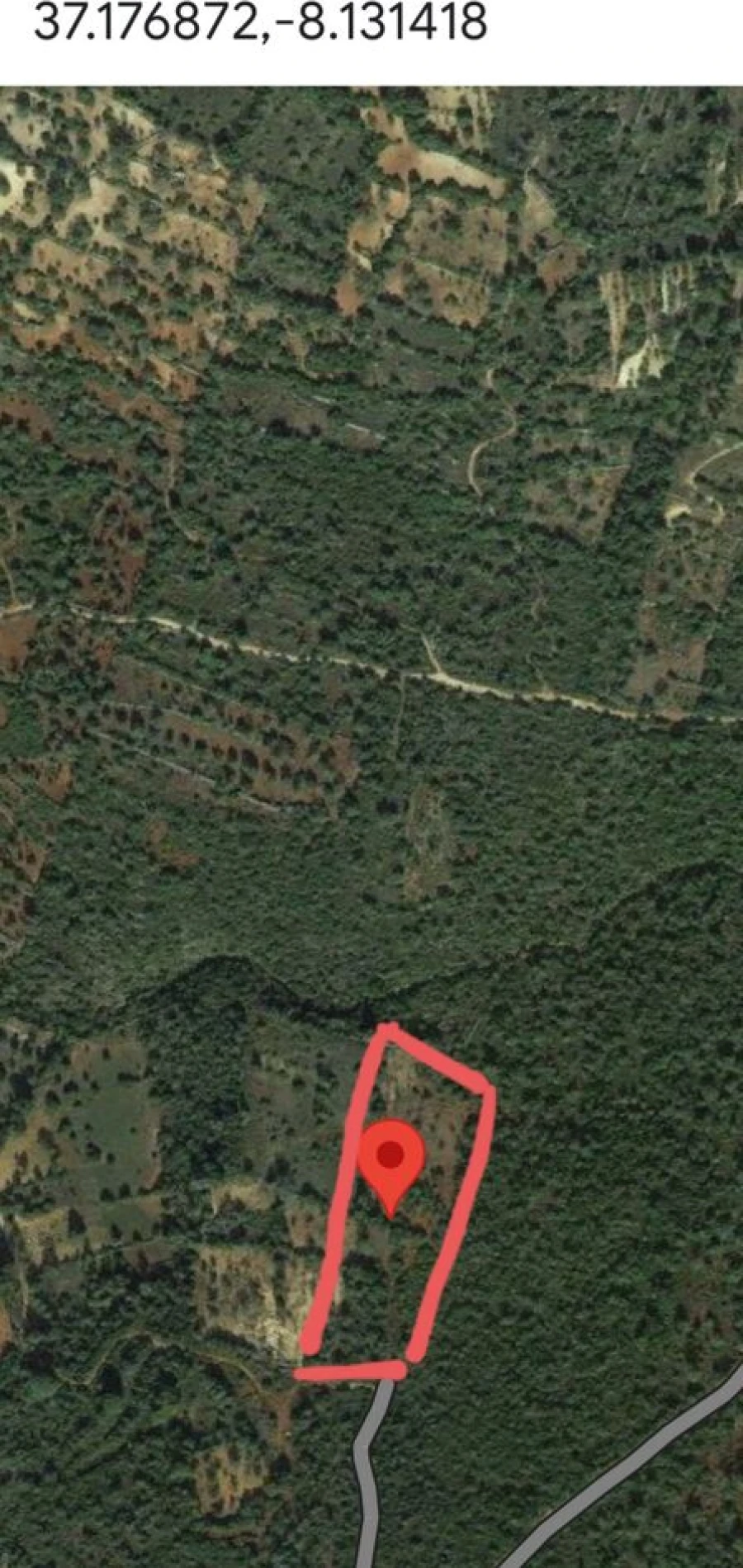 Terreno para Venda em Loule (São Clemente) Foto 4