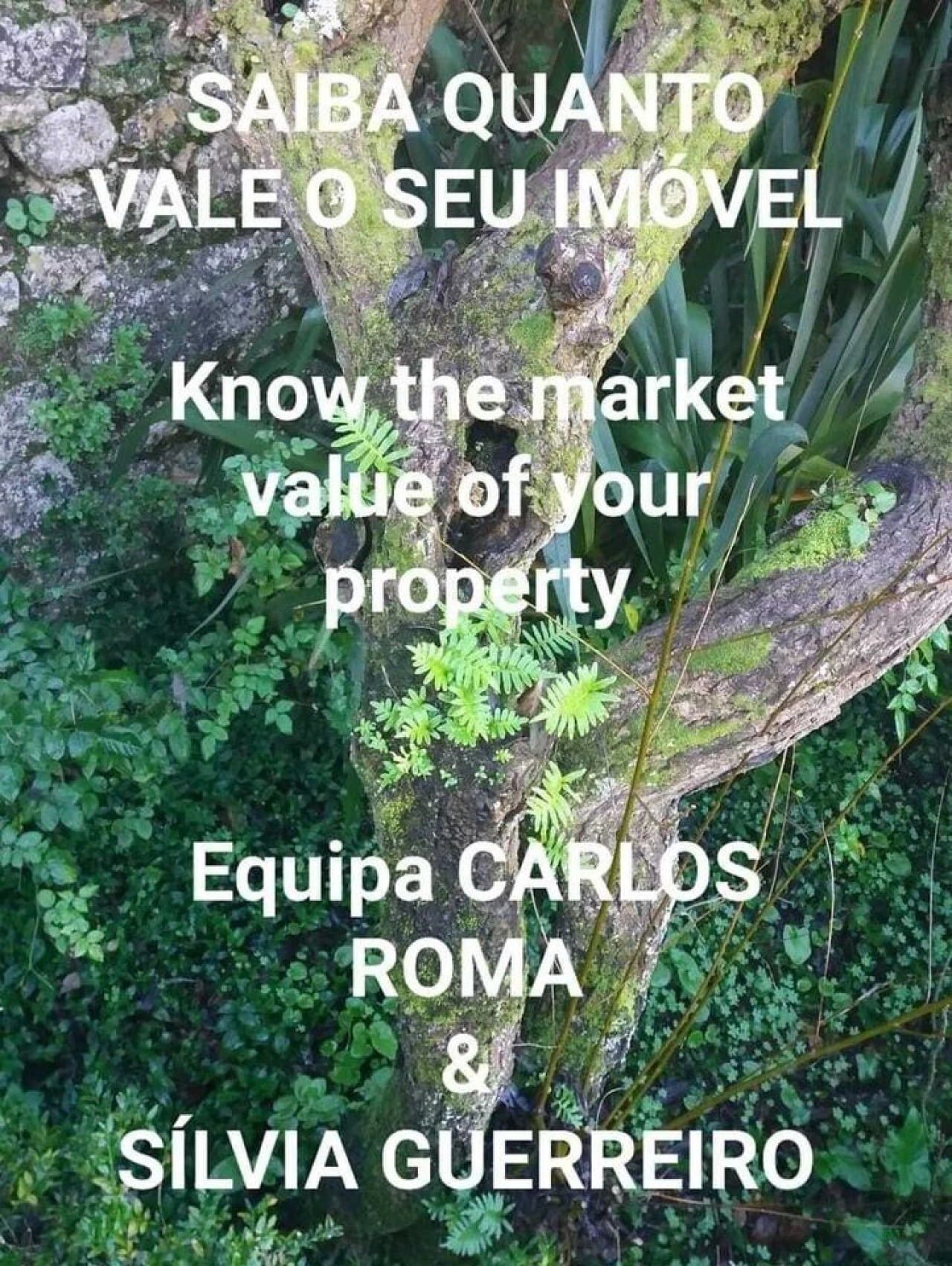 Terreno para Venda em Estômbar e Parchal Foto 2