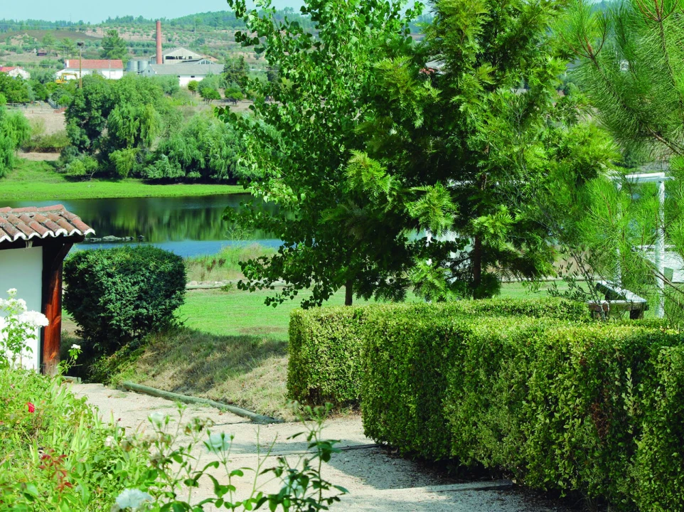 Quinta T3 para Venda em Alvega e Concavada Foto 24