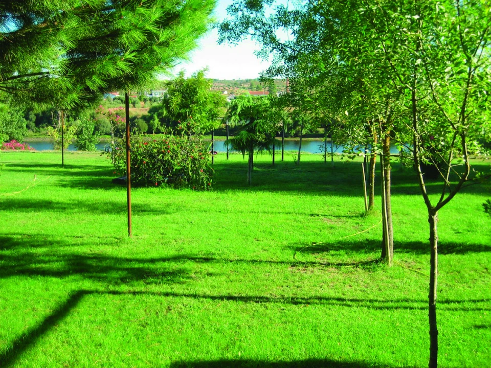 Quinta T3 para Venda em Alvega e Concavada Foto 27