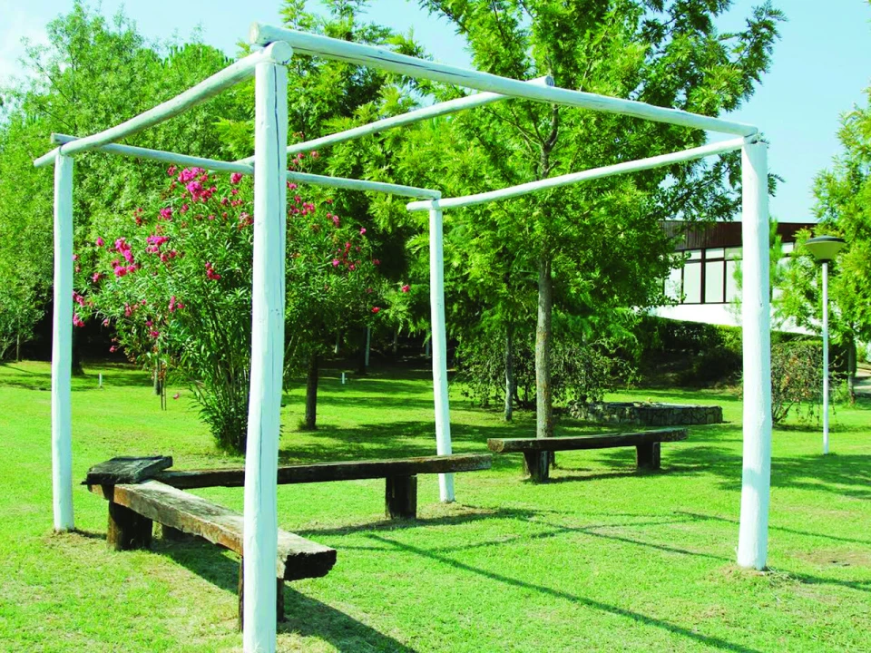 Quinta T3 para Venda em Alvega e Concavada Foto 28