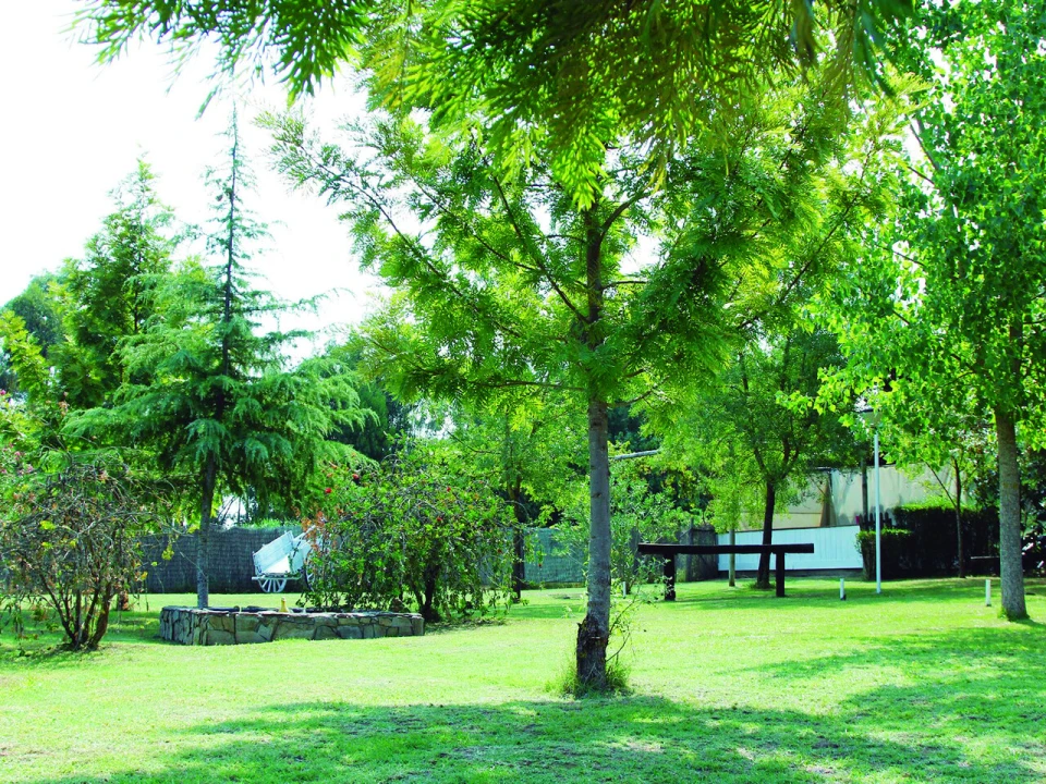 Quinta T3 para Venda em Alvega e Concavada Foto 30