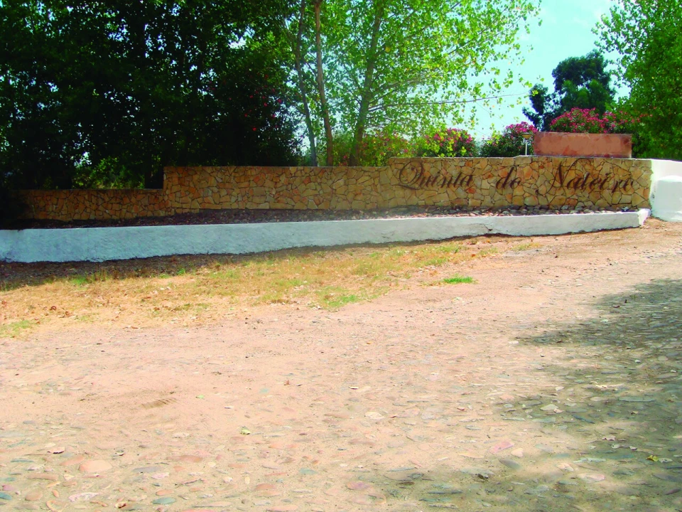 Quinta T3 para Venda em Alvega e Concavada Foto 50