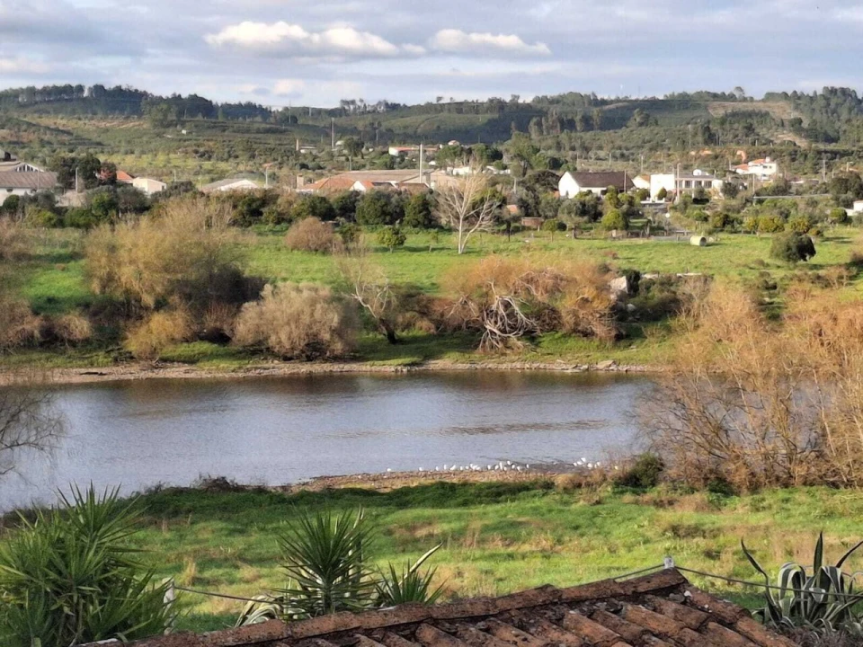 Quinta T3 para Venda em Alvega e Concavada Foto 3