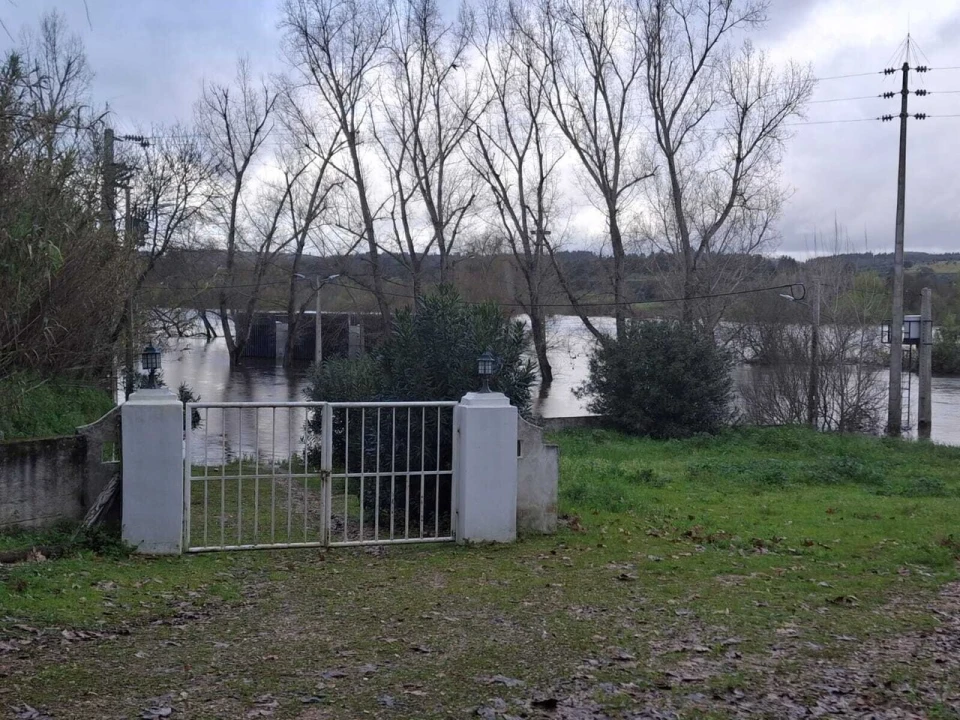 Quinta T3 para Venda em Alvega e Concavada Foto 6