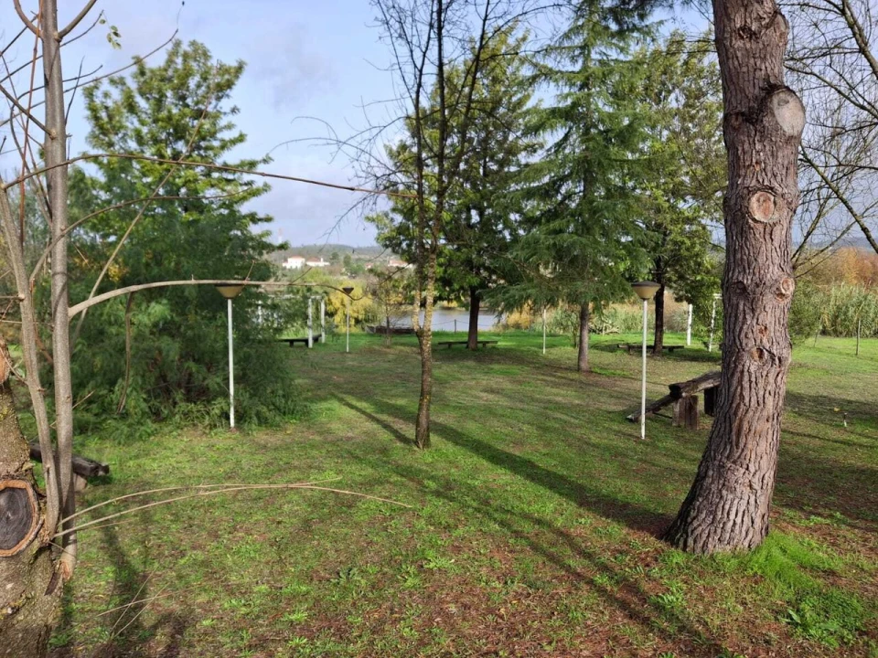 Quinta T3 para Venda em Alvega e Concavada Foto 7