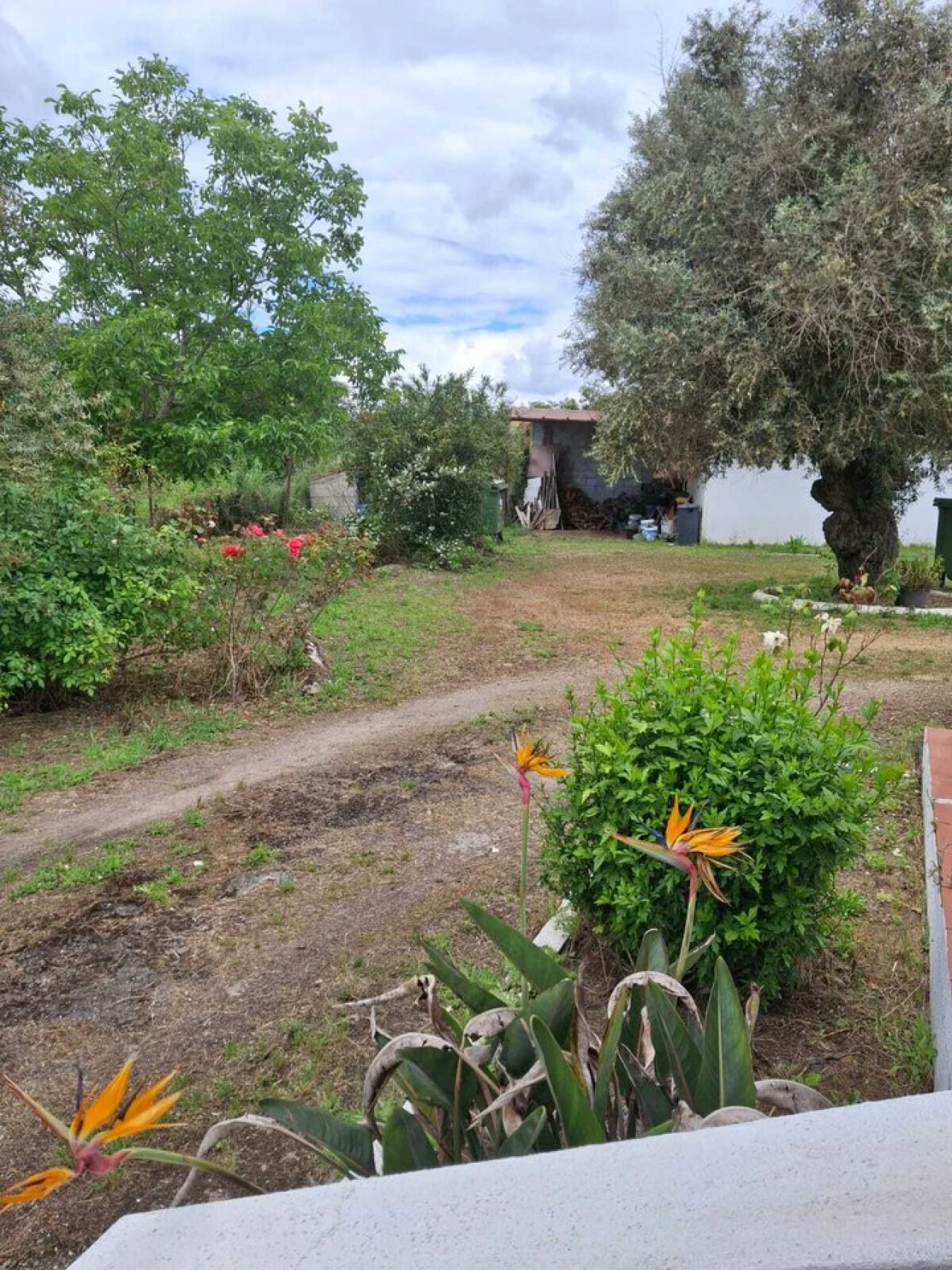 Quinta T3 para Venda em Alvega e Concavada Foto 11