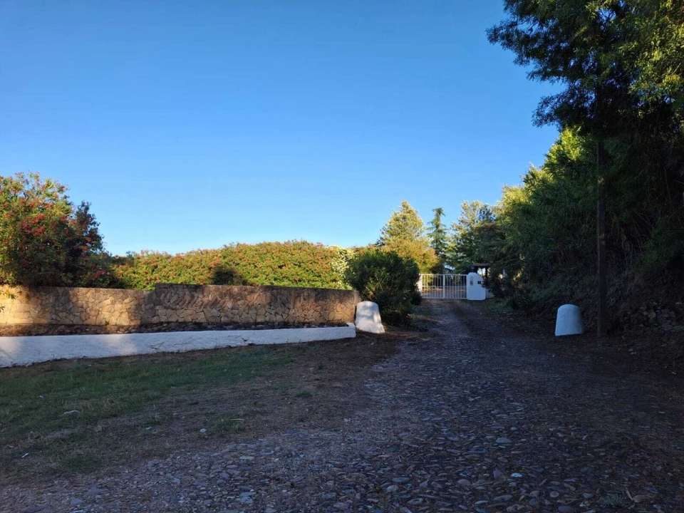 Quinta T3 para Venda em Alvega e Concavada Foto 12