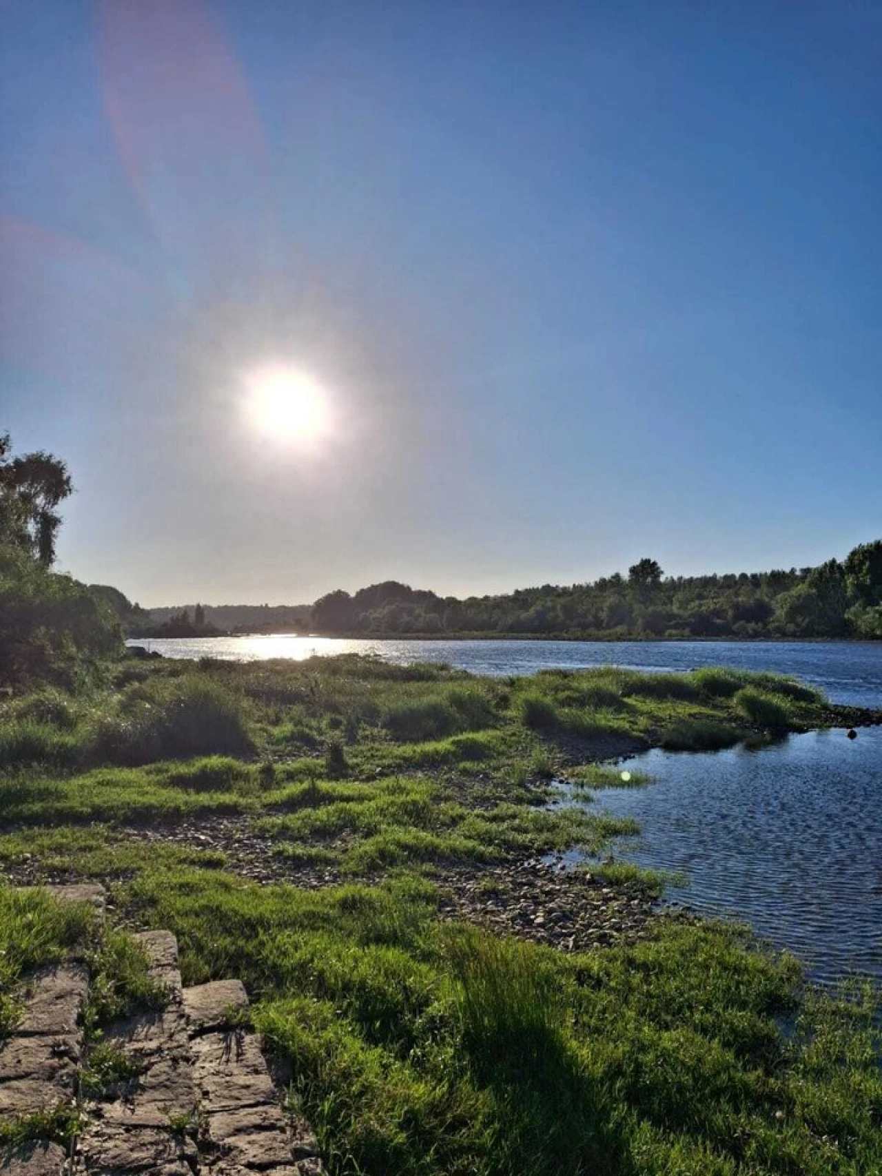 Quinta T3 para Venda em Alvega e Concavada Foto 53