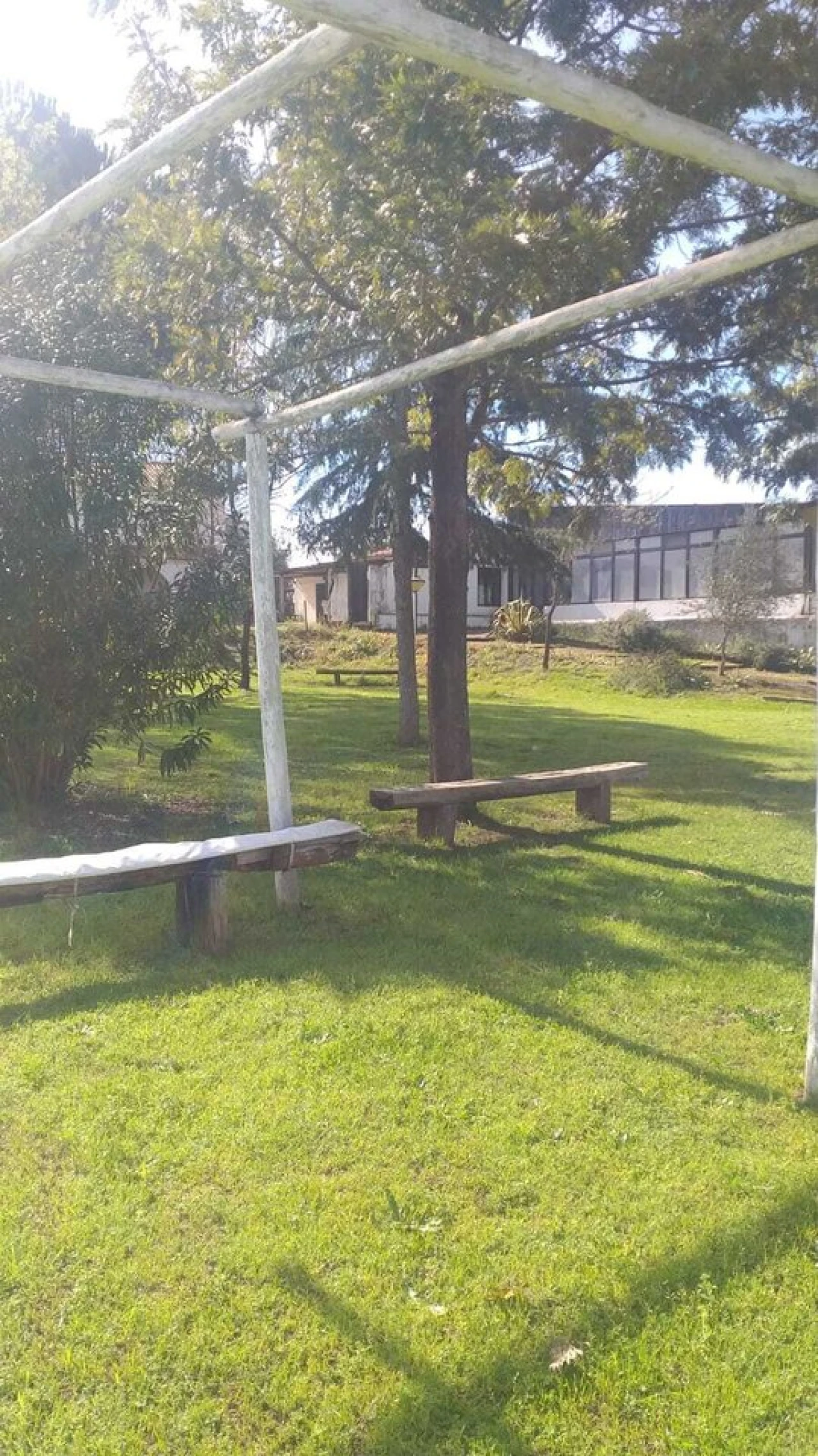 Quinta T3 para Venda em Alvega e Concavada Foto 54