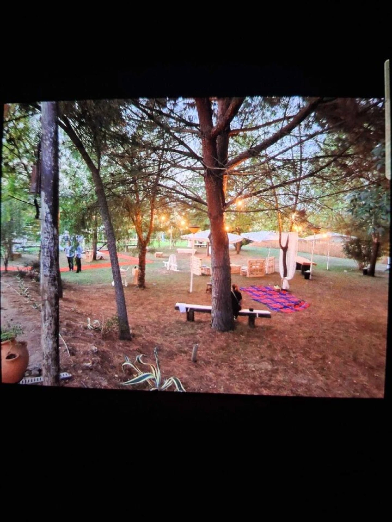 Quinta T3 para Venda em Alvega e Concavada Foto 56