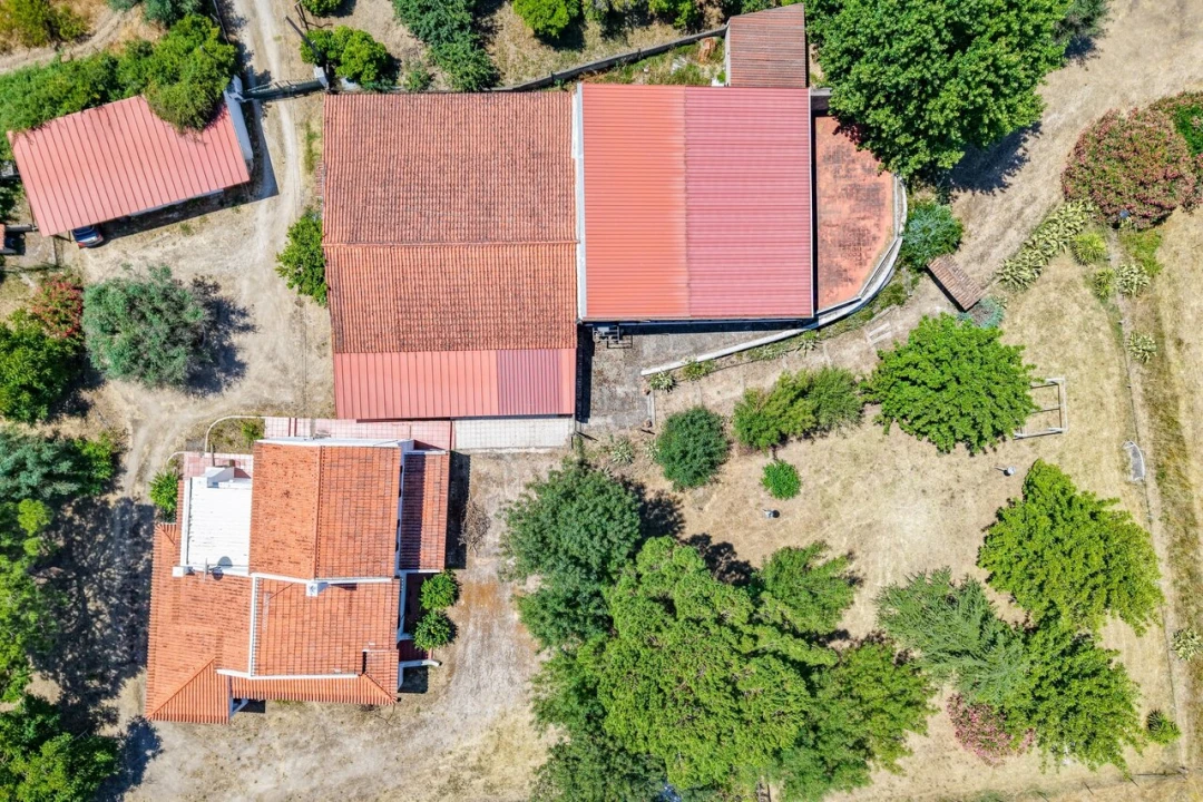 Quinta T3 para Venda em Alvega e Concavada Foto 37