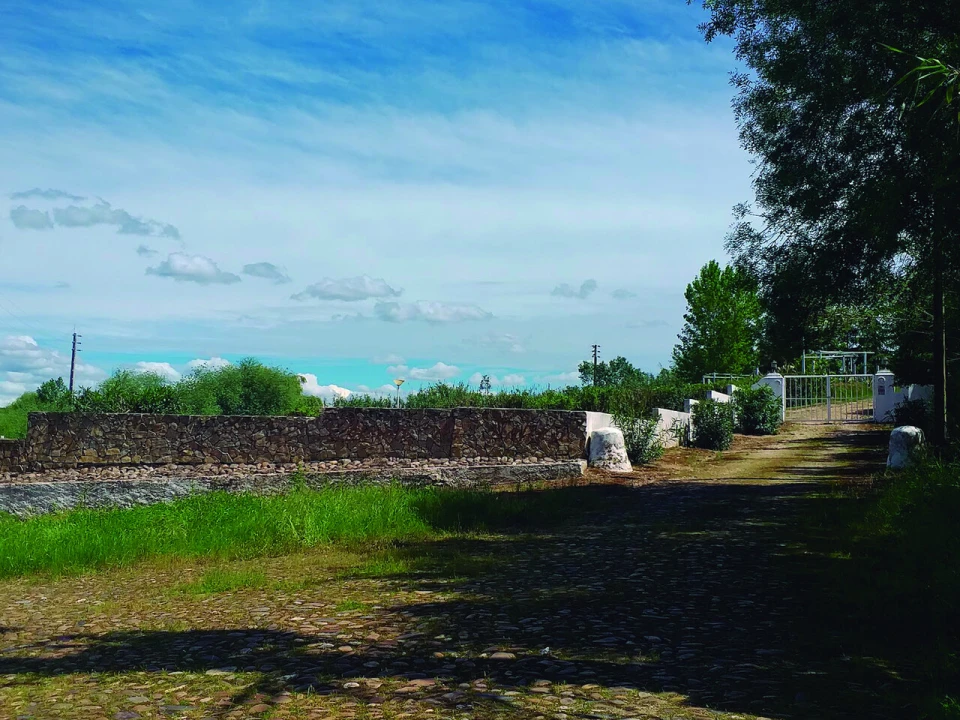 Quinta T3 para Venda em Alvega e Concavada Foto 47