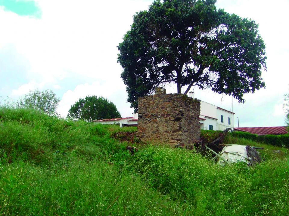 Quinta T3 para Venda em Alvega e Concavada Foto 48