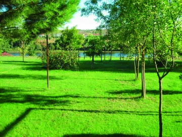 Quinta T3 para Venda em Alvega e Concavada