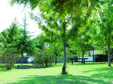 Quinta T3 para Venda em Alvega e Concavada