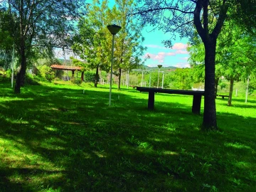 Quinta T3 para Venda em Alvega e Concavada