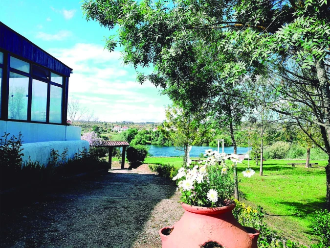 Quinta T3 para Venda em Alvega e Concavada Foto 16