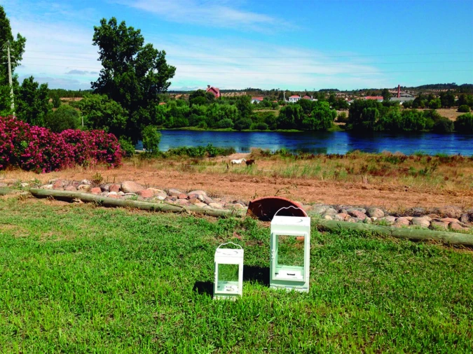 Quinta T3 para Venda em Alvega e Concavada Foto 20