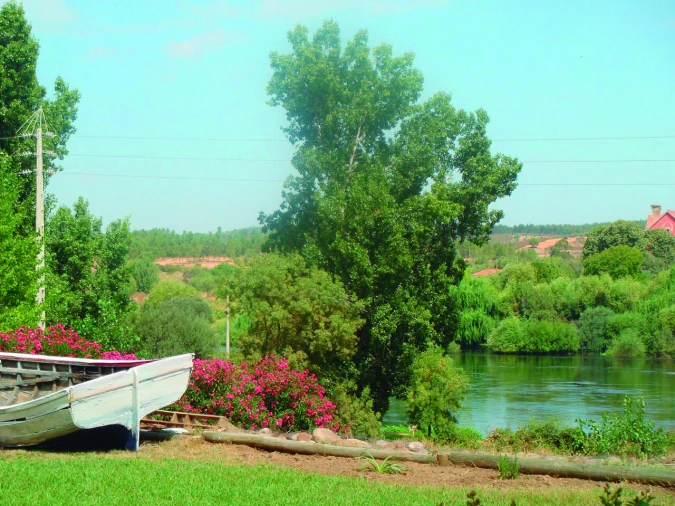 Quinta T3 para Venda em Alvega e Concavada Foto 23