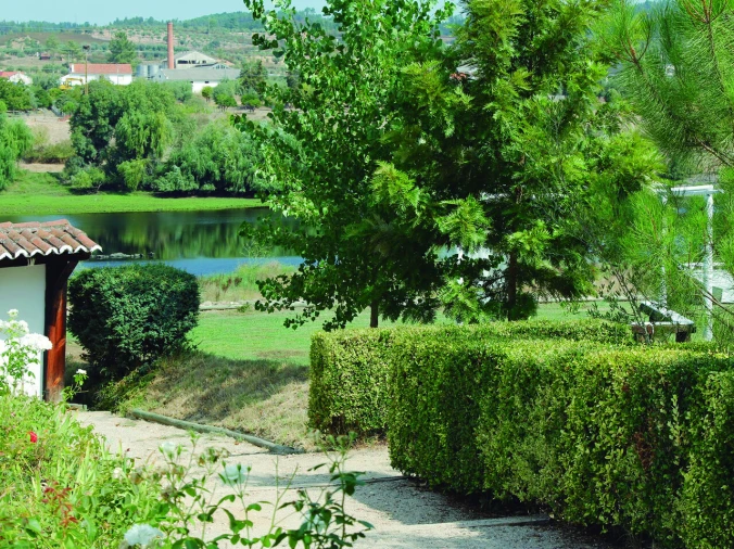 Quinta T3 para Venda em Alvega e Concavada Foto 24