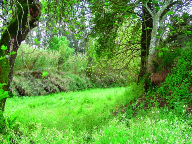 Quinta T3 para Venda em Alvega e Concavada Foto 31