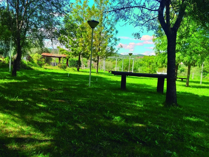 Quinta T3 para Venda em Alvega e Concavada Foto 35