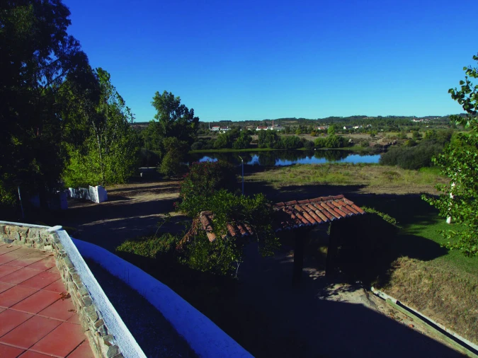 Quinta T3 para Venda em Alvega e Concavada Foto 44