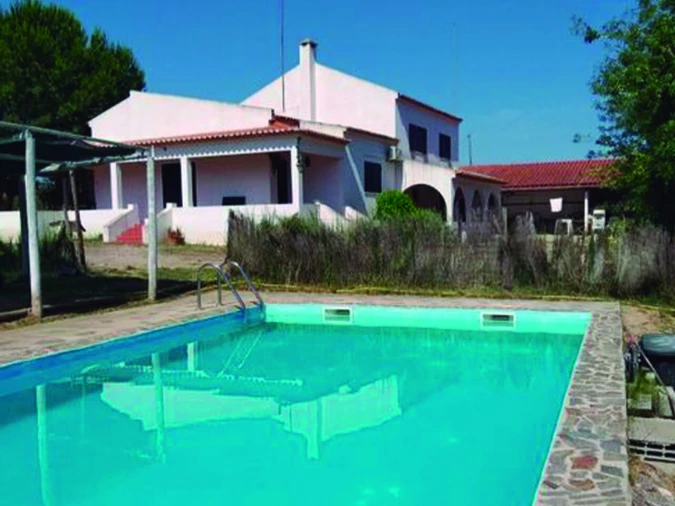 Quinta T3 para Venda em Alvega e Concavada Foto 45