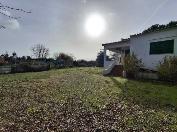 Quinta T3 para Venda em Alvega e Concavada Foto 4