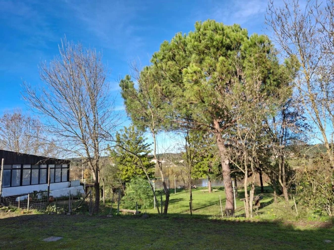 Quinta T3 para Venda em Alvega e Concavada Foto 5