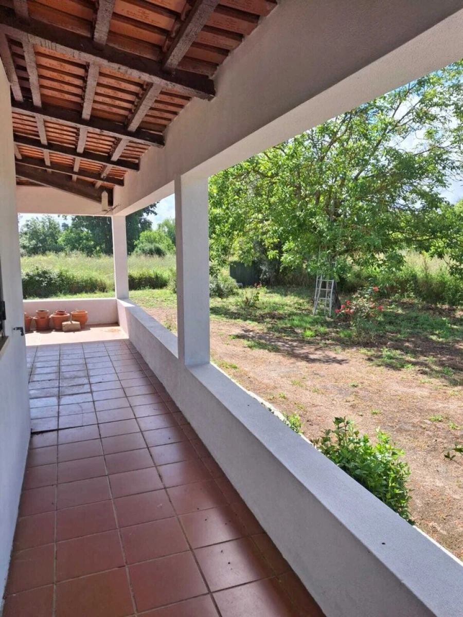 Quinta T3 para Venda em Alvega e Concavada Foto 13