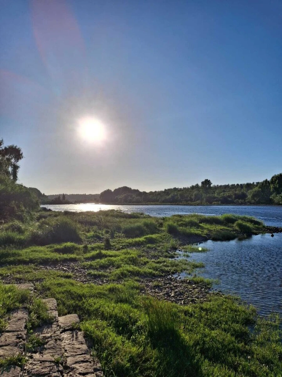 Quinta T3 para Venda em Alvega e Concavada Foto 53