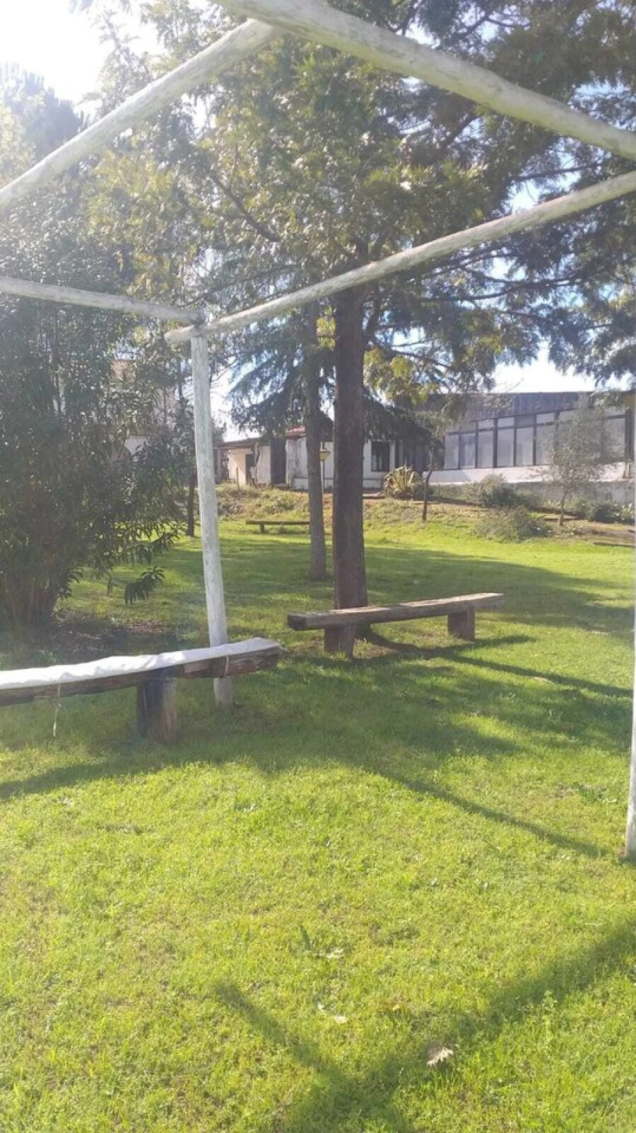 Quinta T3 para Venda em Alvega e Concavada Foto 54