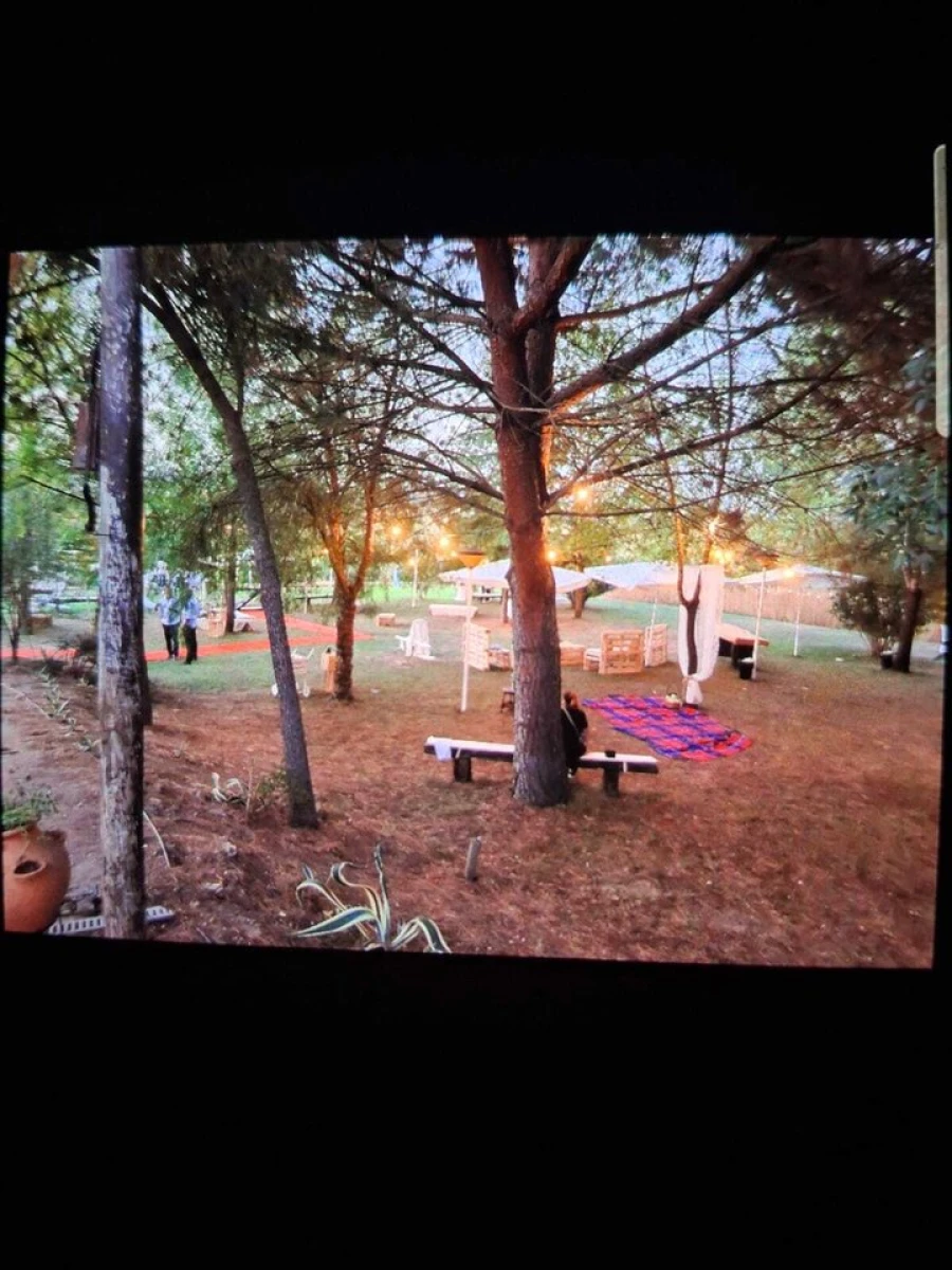 Quinta T3 para Venda em Alvega e Concavada Foto 56