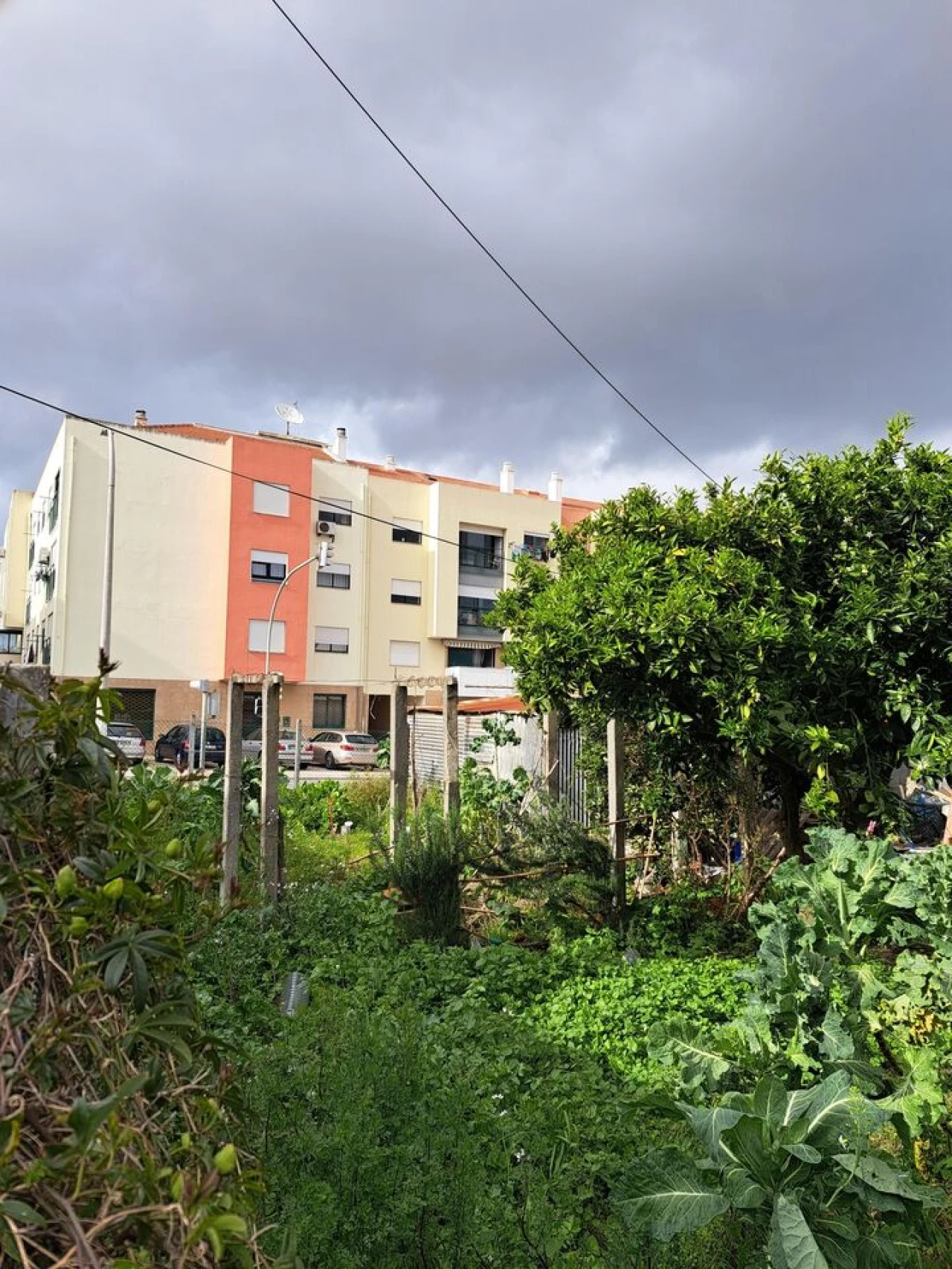 Terreno para Venda em Baixa da Banheira e Vale da Amoreira Foto 5