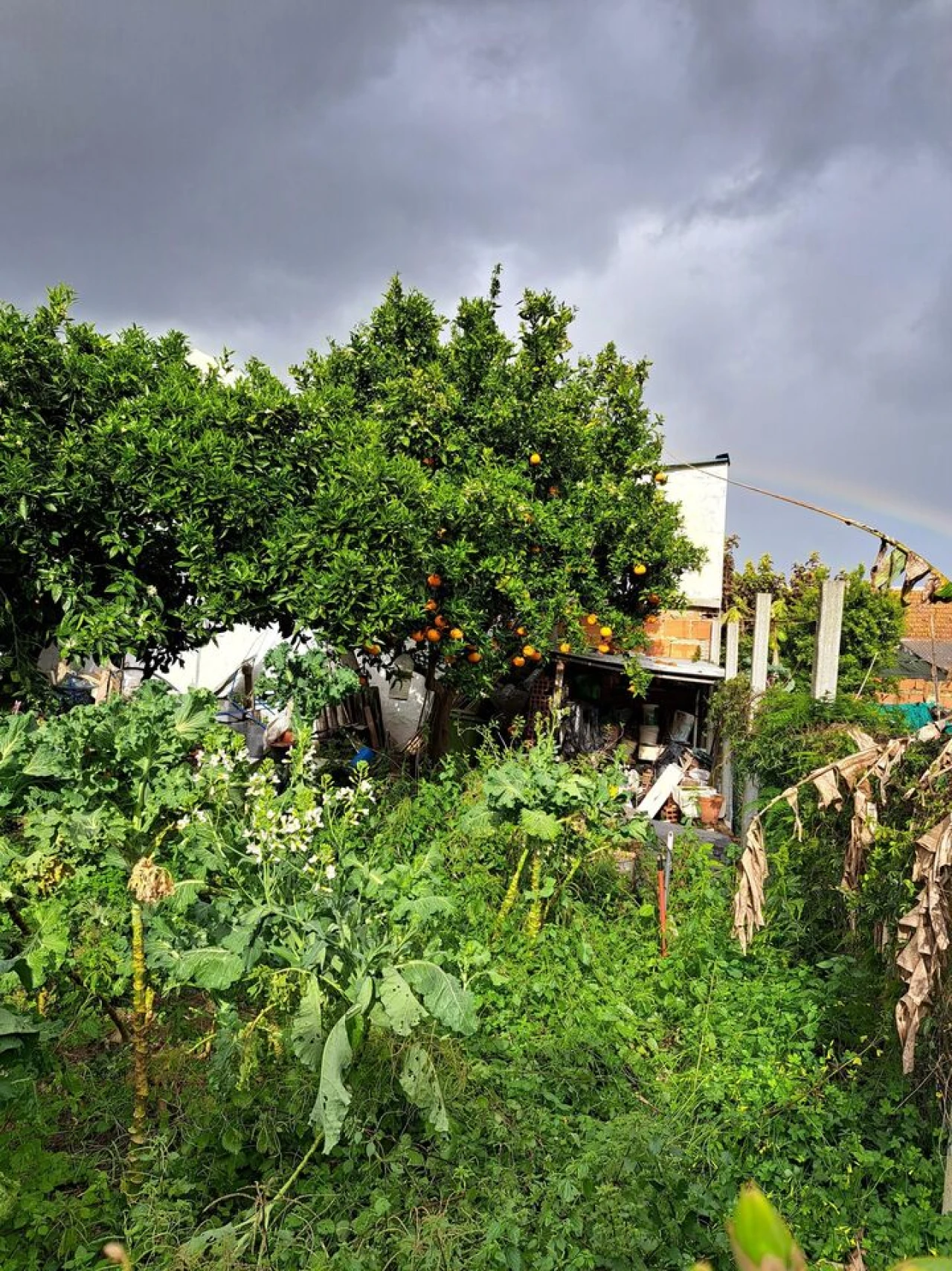 Terreno para Venda em Baixa da Banheira e Vale da Amoreira Foto 6