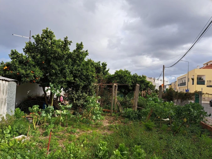 Terreno para Venda em Baixa da Banheira e Vale da Amoreira Foto 4
