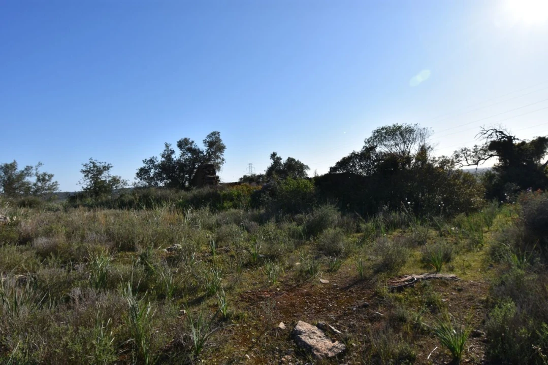 Quinta T2 para Venda em Algoz e Tunes Foto 9