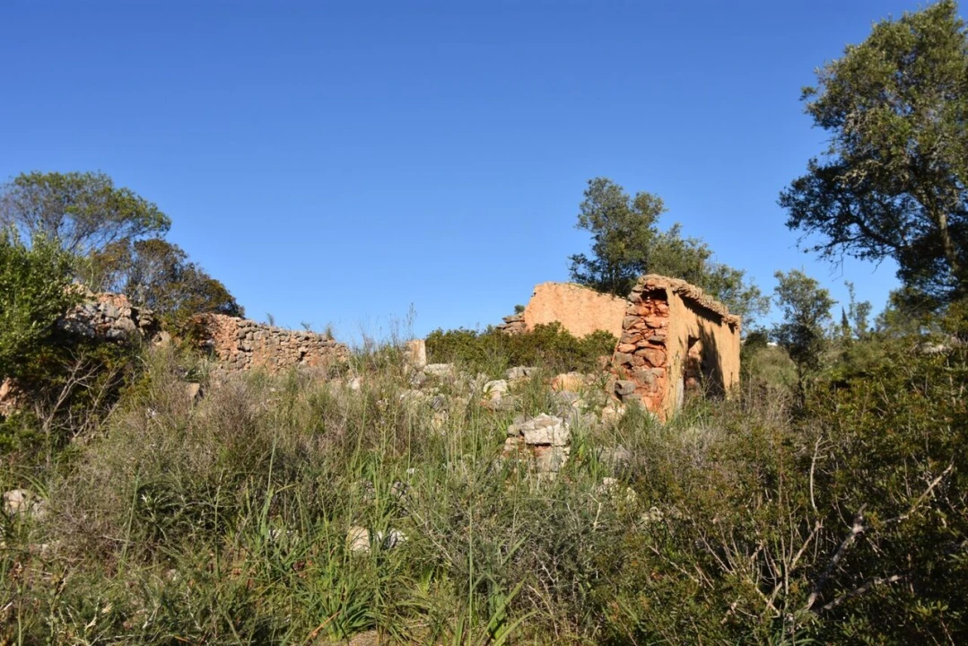 Quinta T2 para Venda em Algoz e Tunes Foto 12