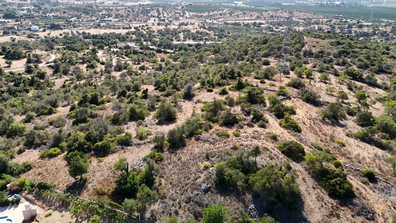 Quinta T2 para Venda em Algoz e Tunes Foto 29