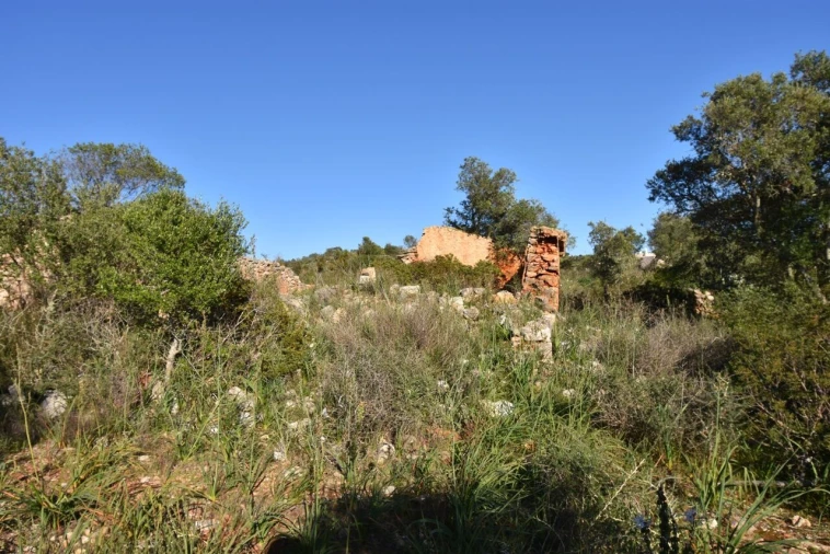 Quinta T2 para Venda em Algoz e Tunes