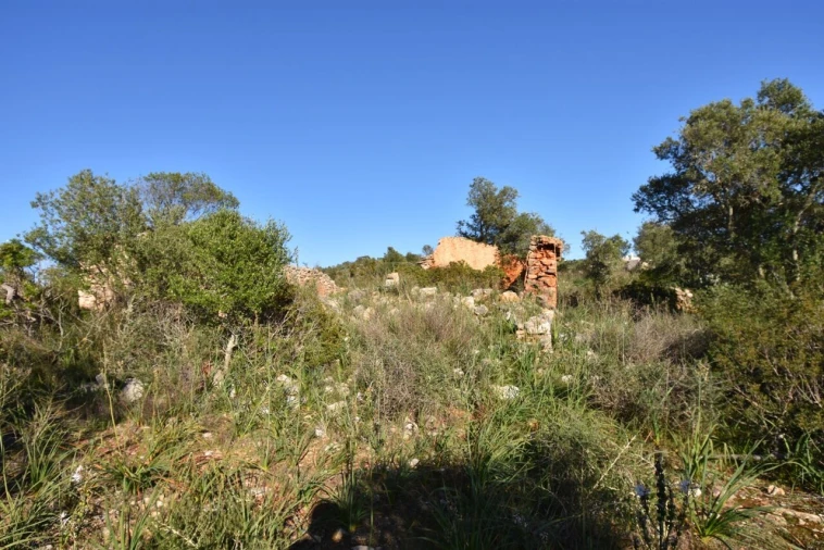 Quinta T2 para Venda em Algoz e Tunes Foto 11