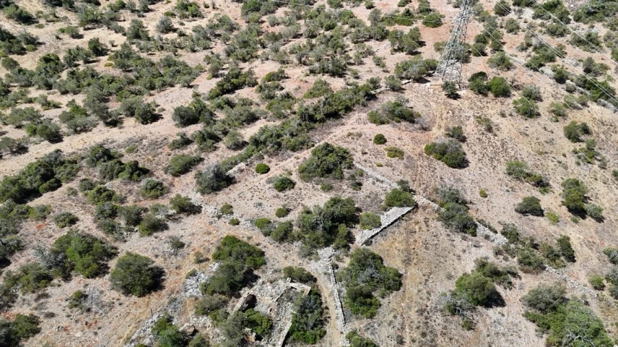 Quinta T2 para Venda em Algoz e Tunes Foto 18