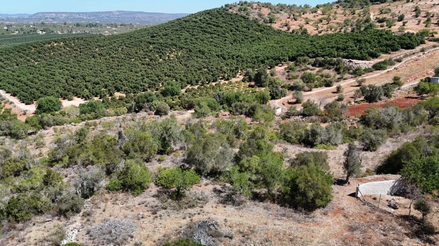 Quinta T2 para Venda em Algoz e Tunes Foto 21