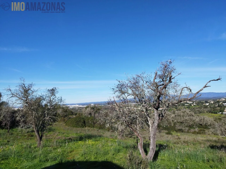 Moradia T2 para Venda em Lagoa e Carvoeiro Foto 11